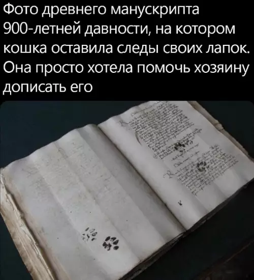 Смешная картинка №701088