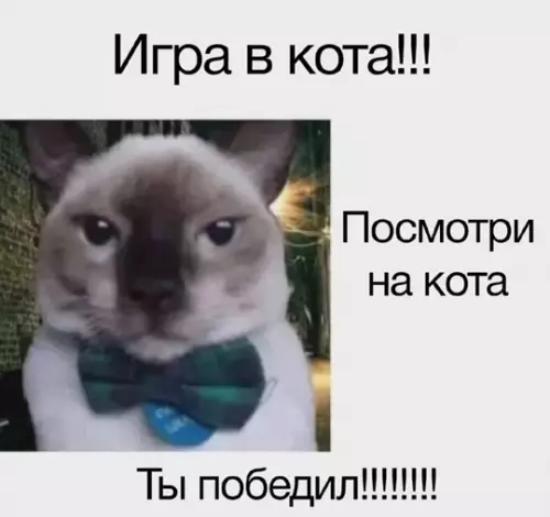 Смешная картинка №768508