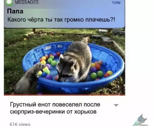 Смешная картинка №397650