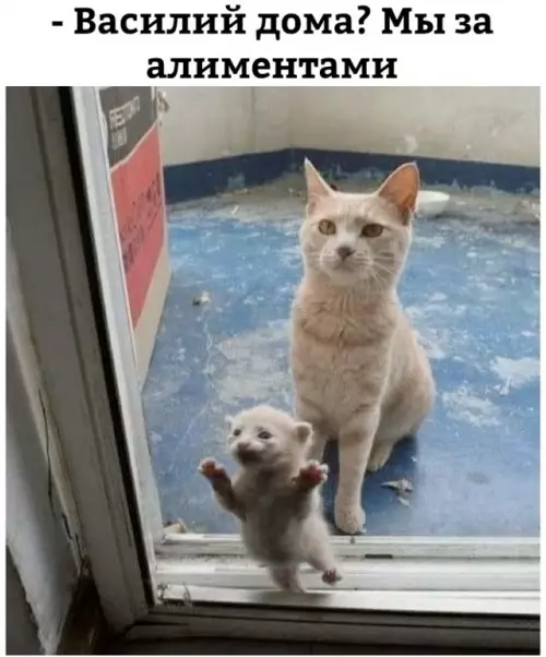 Смешная картинка №779173