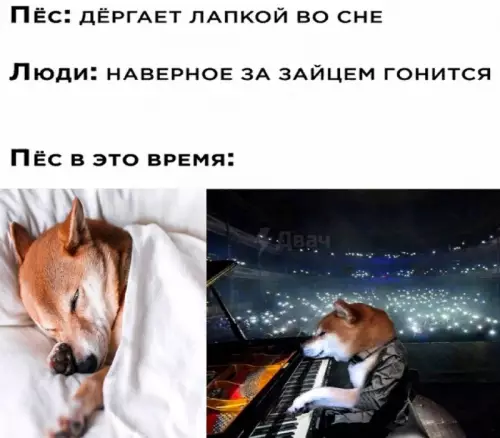 Смешная картинка №702708