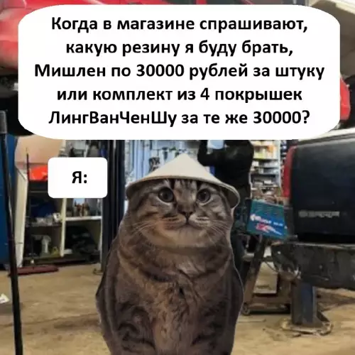 Выбор между качеством и количеством 🚗💨 - Когда в магазине спрашивают, какую резину я буду брать, Мишлен