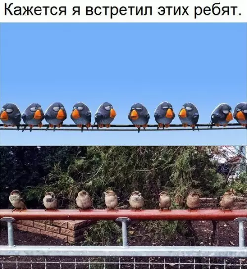 Смешная картинка №215013