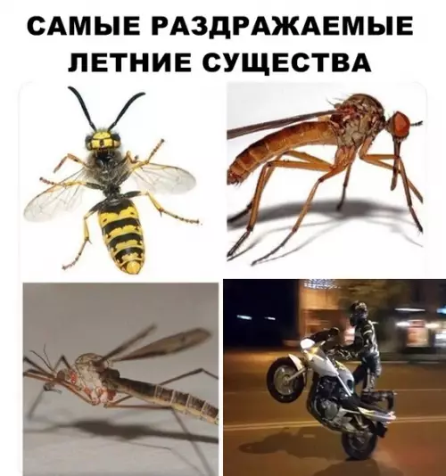 Смешная картинка №287097
