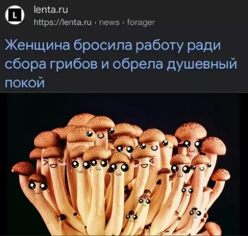 Смешная картинка №693154 Рецепт счастья прост
