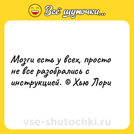 Шутка: Мозги есть у всех, просто не все разобрались с инструкцией. © Хью Лори