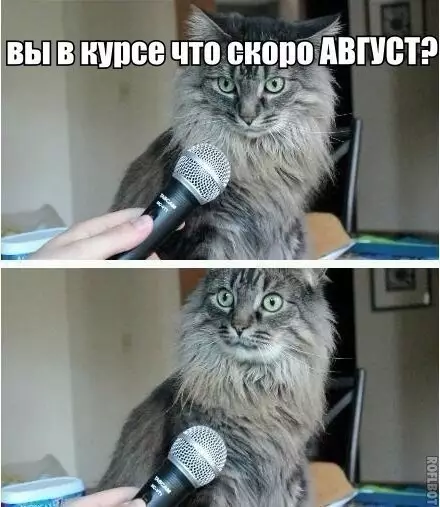 Смешная картинка №194406