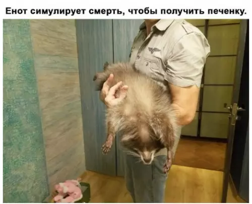 Смешная картинка №303338