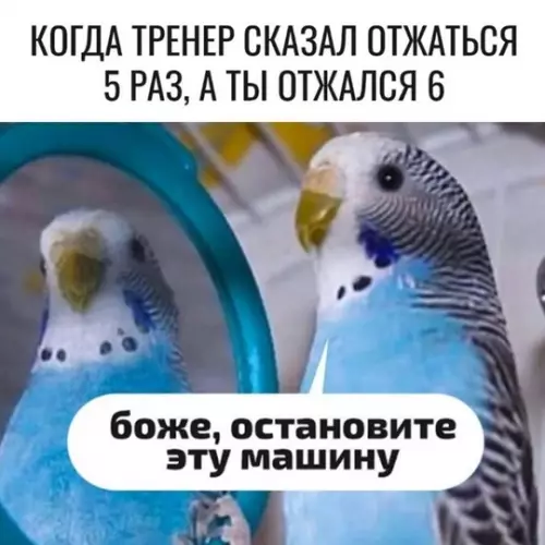 Смешная картинка №742303
