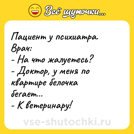 Шутка: Пациент у психиатра. Врач:<br>- На что жалуетесь?<br>- Доктор, у меня по квартире белочка бегает…<br>- К ветеринару!
