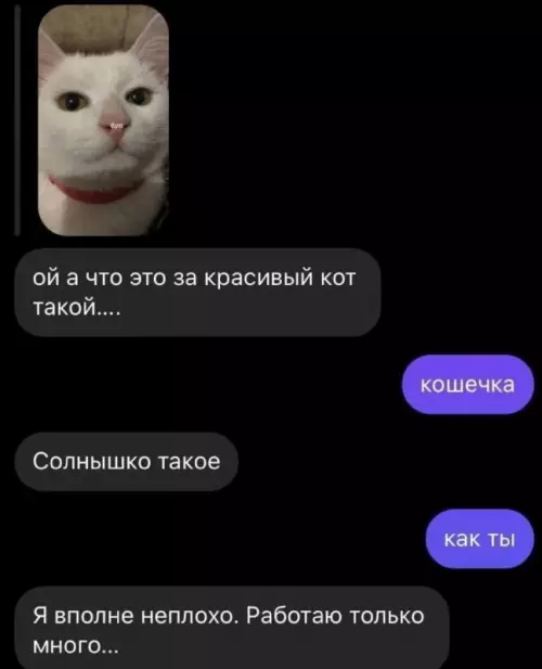 Смешная картинка №699321 переписка