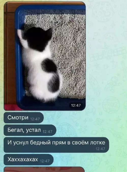 Смешная картинка №661476