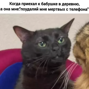 Смешная картинка №783153