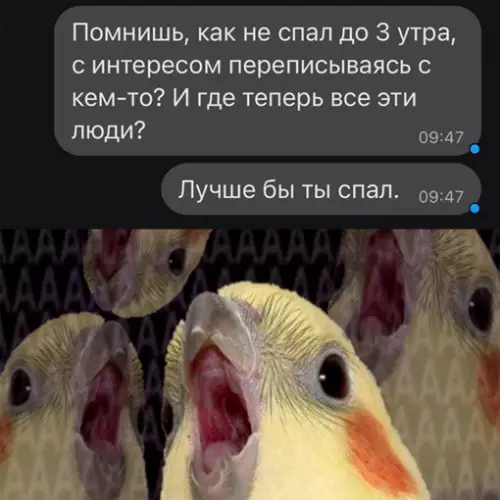 Смешная картинка №650088