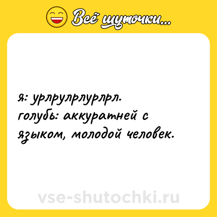 Шутка: я: урлрулрлурлрл.  <br>голубь: аккуратней с языком, молодой человек.