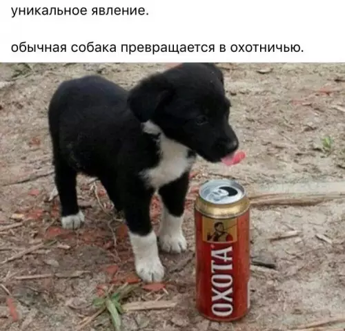 Смешная картинка №696105