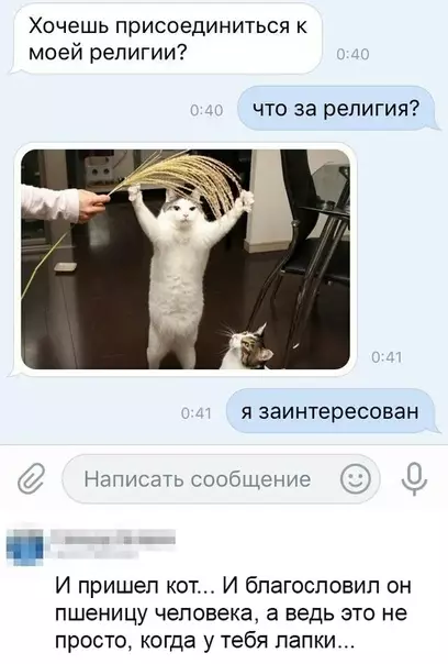 Смешная картинка №453759 Котолицизм