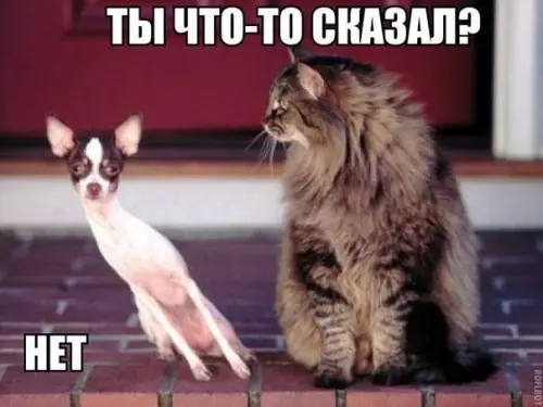 Смешная картинка №177356
