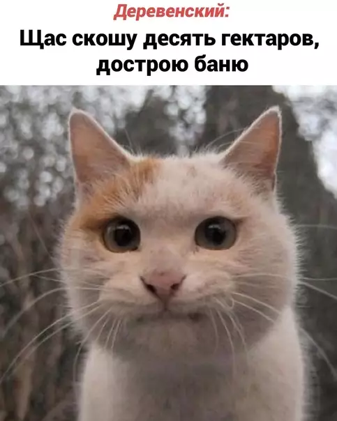 продолжение Смешная картинка №600106 To-do лиcт