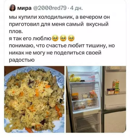 Смешная картинка №815209 История любви с холодильником холодильник