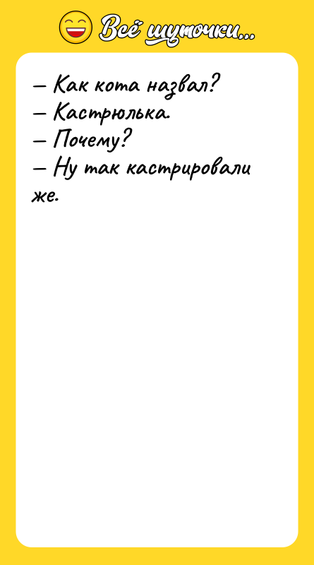 Как кота назвал? Кастрюлька. Почему? Ну
