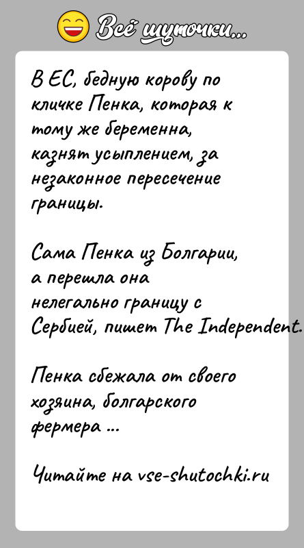 История: В ЕС, бедную корову по кличке Пенка, которая к тому же беременна, казнят усыплением, за незаконное пересечение границы.Сама Пенка из