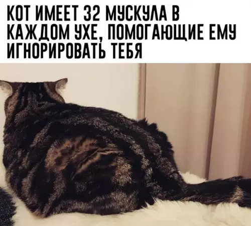 Смешная картинка №483695 ??