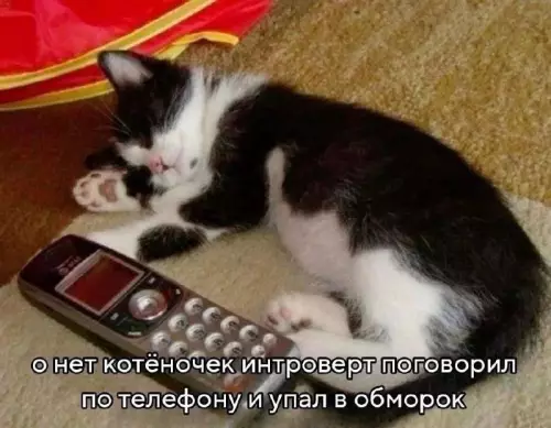 Смешная картинка №775022