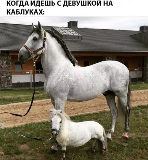 Смешная картинка №284363
