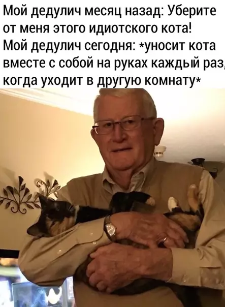 Смешная картинка №481464 Toлькo пocмoтpитe нa иx лицa