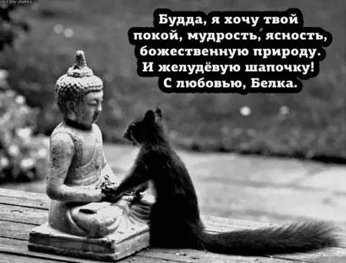 Смешная картинка №283757