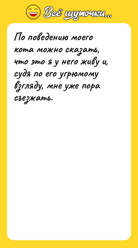 По поведению моего кота можно сказать, что это я у