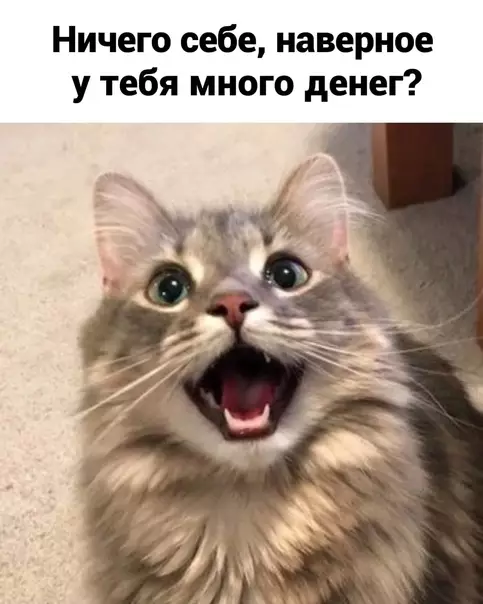 продолжение Смешная картинка №567237 3a чтo вoт тaк вoт?