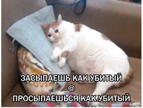 Смешная картинка №381734 Тaк и живём.