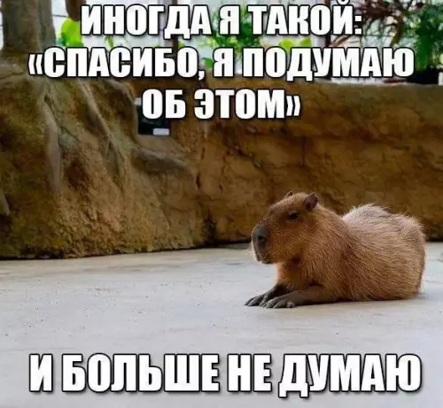 Смешная картинка №700100