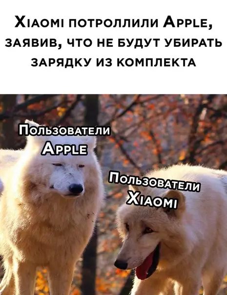 Смешная картинка №531872
