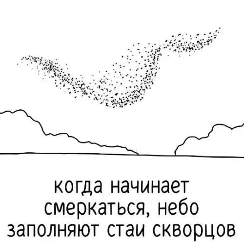 Вечерний депрессняк и птицы 🐦☁️ - когда начинает смеркаться, небо заполняют стаи скворцов