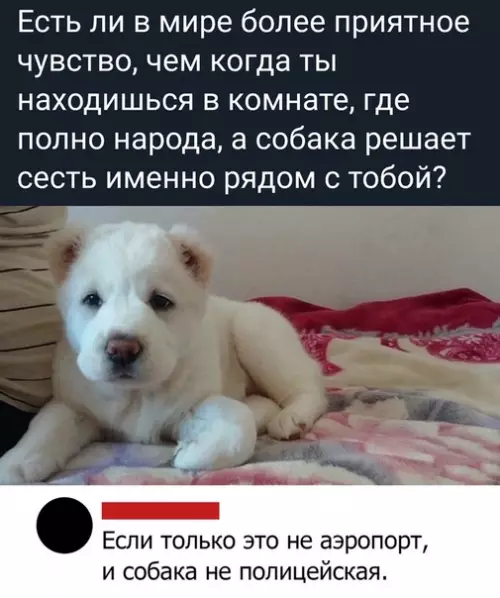 Смешная картинка №477950 Это точно