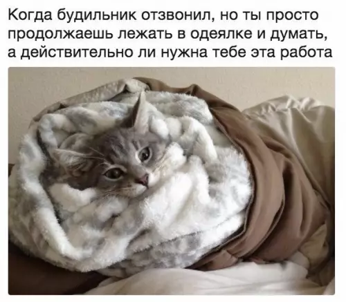 Смешная картинка №216333