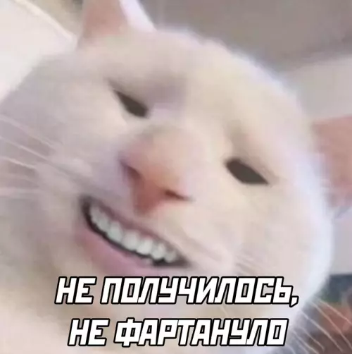 продолжение Смешная картинка №652026