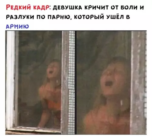 Смешная картинка №495381