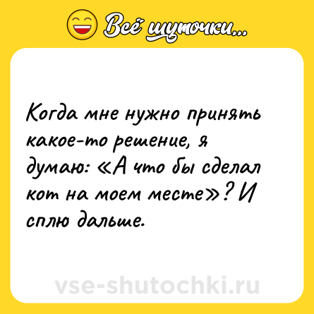 Шутка: Когда мне нужно принять какое-то решение, я думаю: «А что бы сделал кот на моем месте»? И сплю дальше.