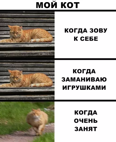 Смешная картинка №287714