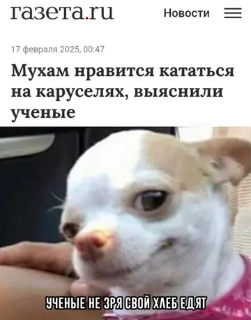 Смешная картинка №751844