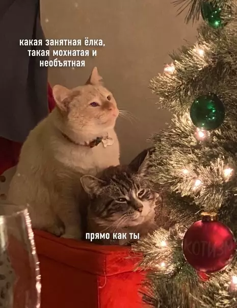 Смешная картинка №544240