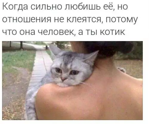 Смешная картинка №255347