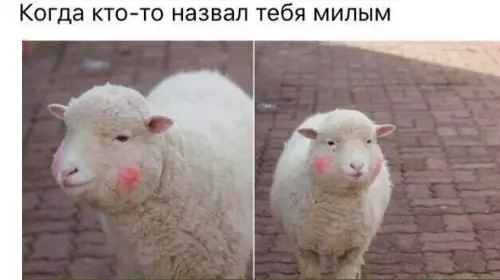Смешная картинка №182397