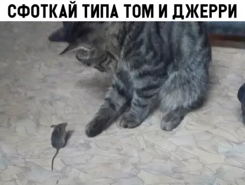 Смешная картинка №318537