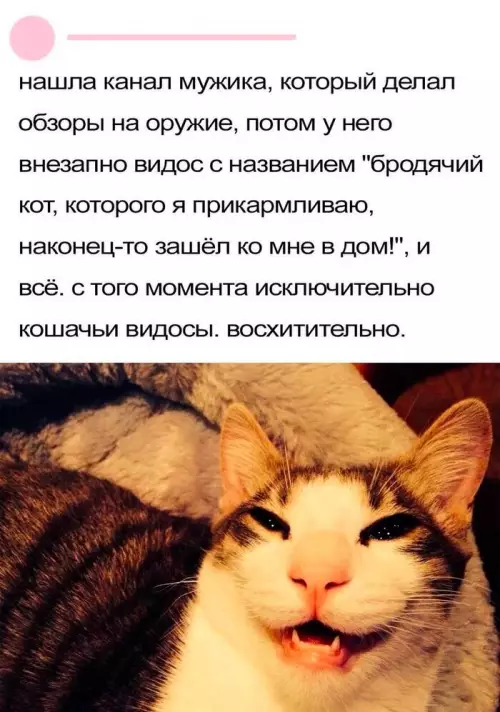Смешная картинка №714263
