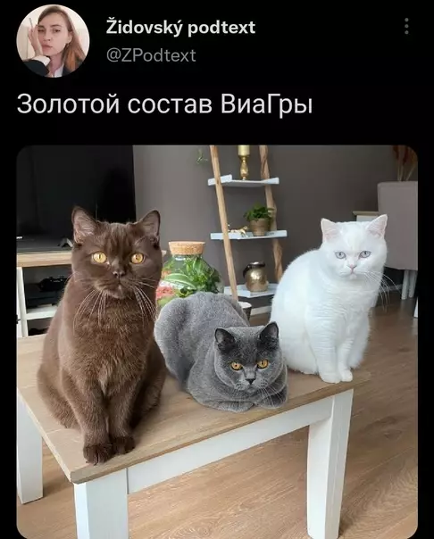 Смешная картинка №620688